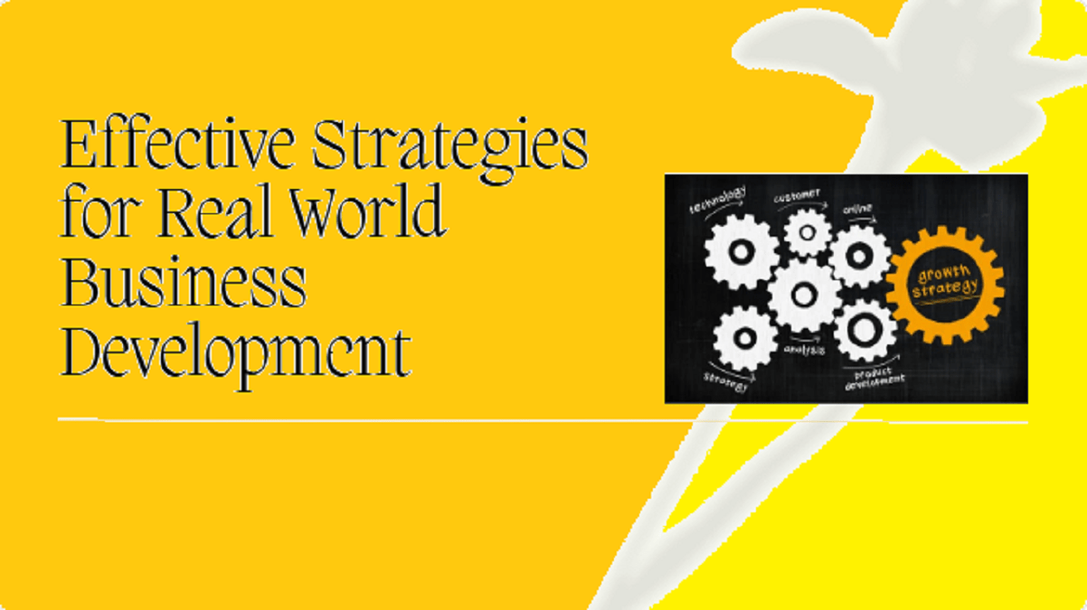 Strategies For Business Development