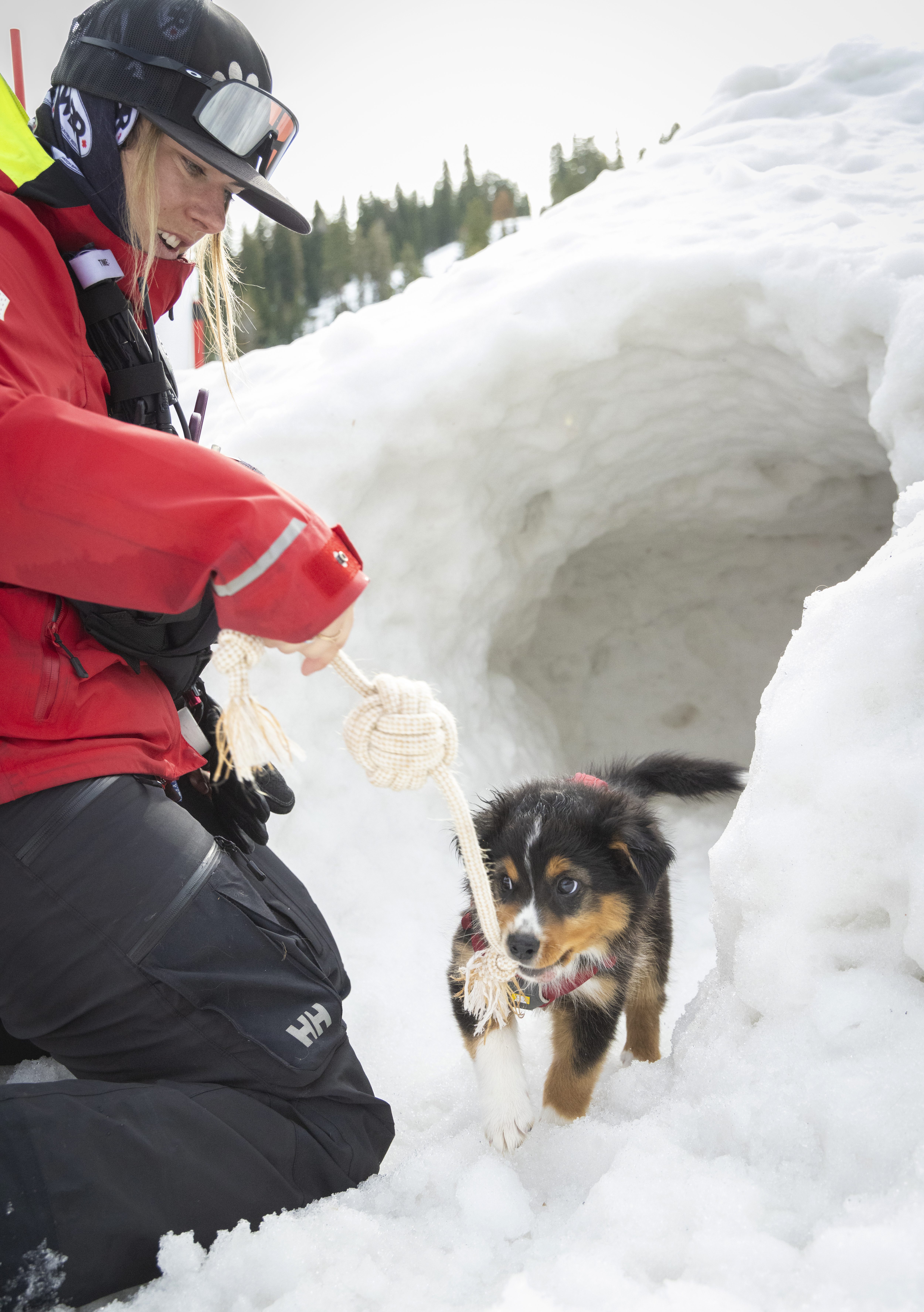 Malea Jordan and her avalanche rescue dog Ripp train by playing hide and seek in this demonstration on Ski California Safety Day on Jan. 26, 2024 at Northstar California in Truckee, Calif. (Photo by Katey Hamill/ Northstar California Resort)