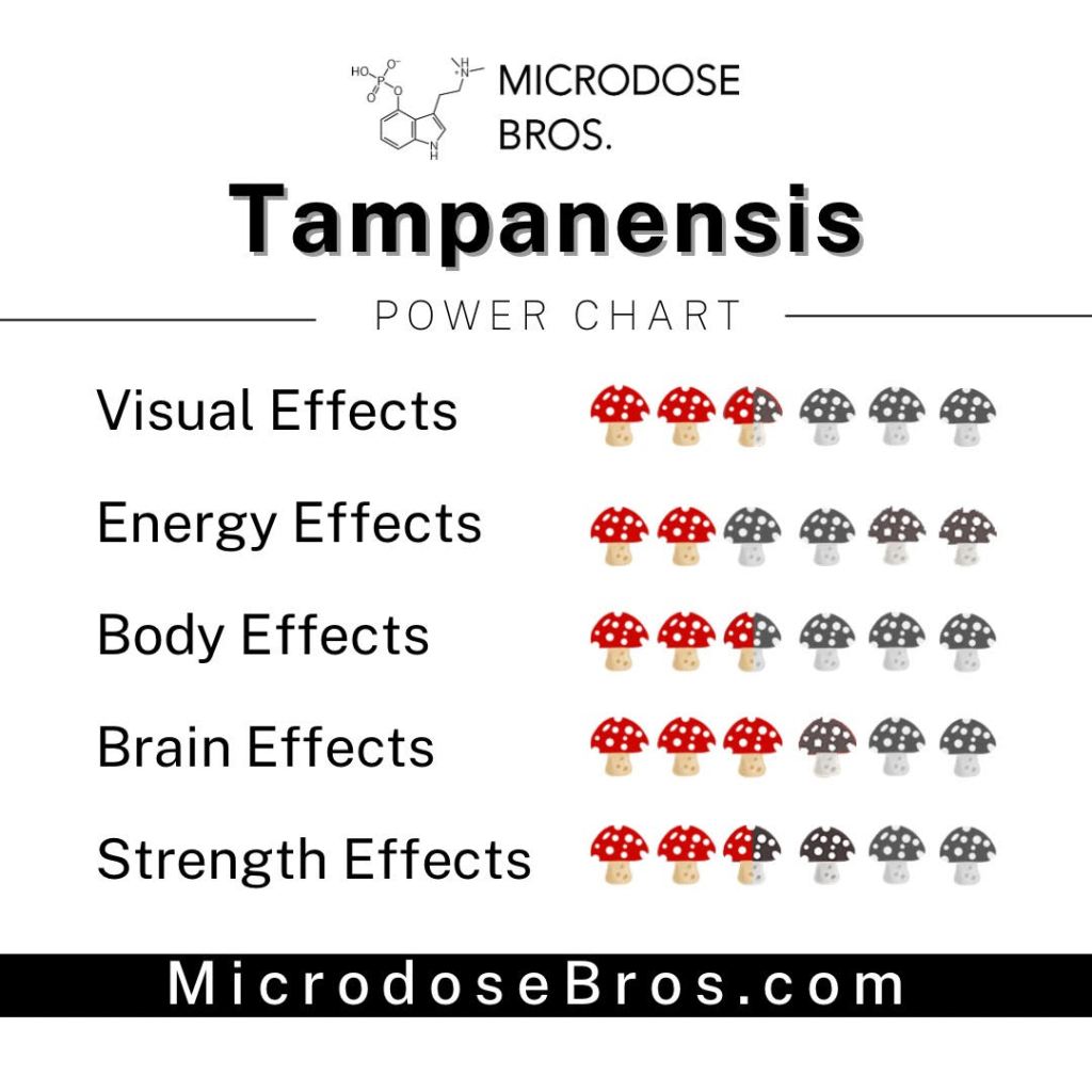 tampanensis-magic-truffles-power-chart