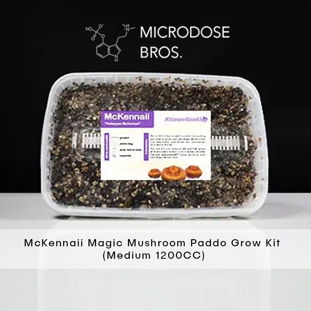 McKennaii Magic Mushroom Paddo Grow Kit