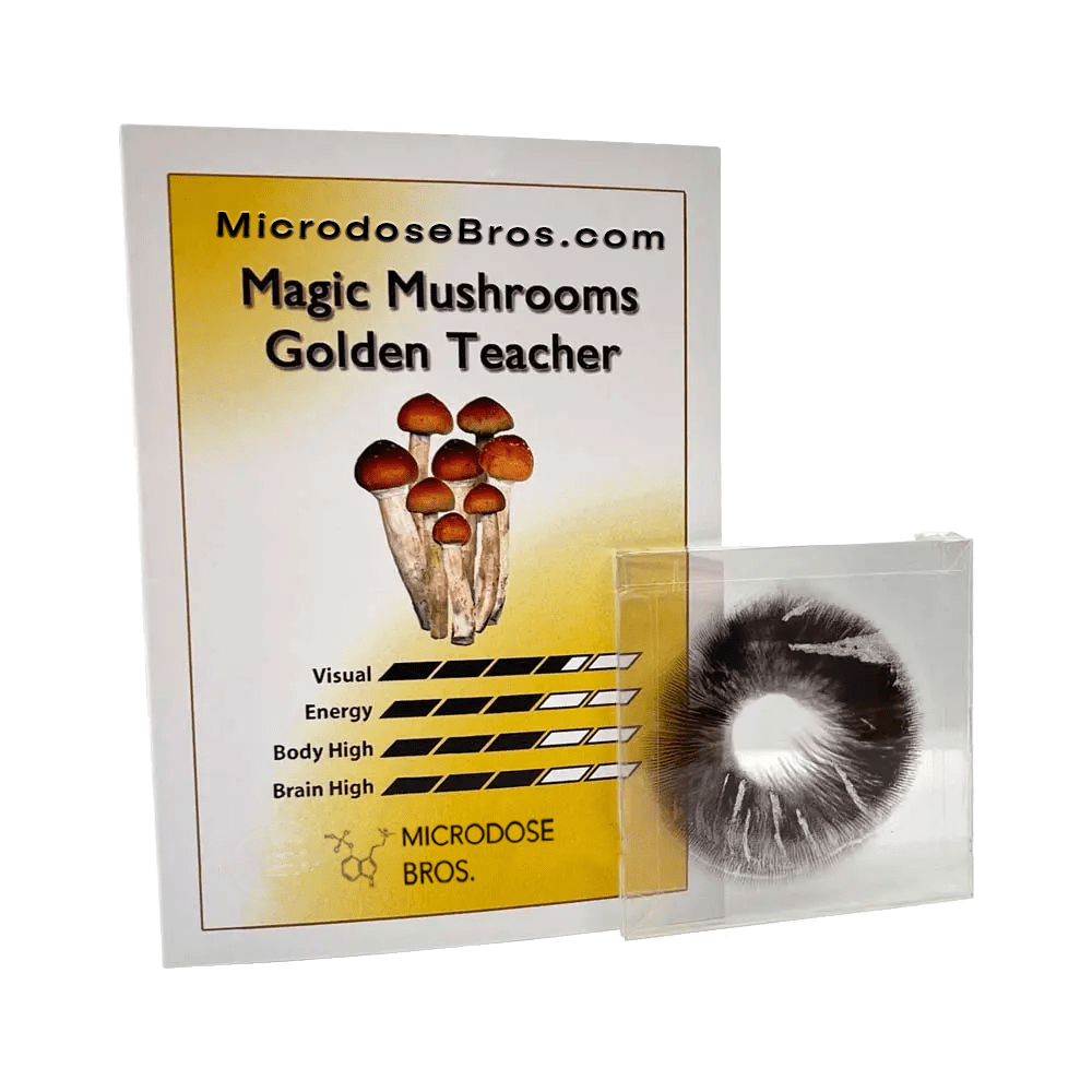 golden teacher