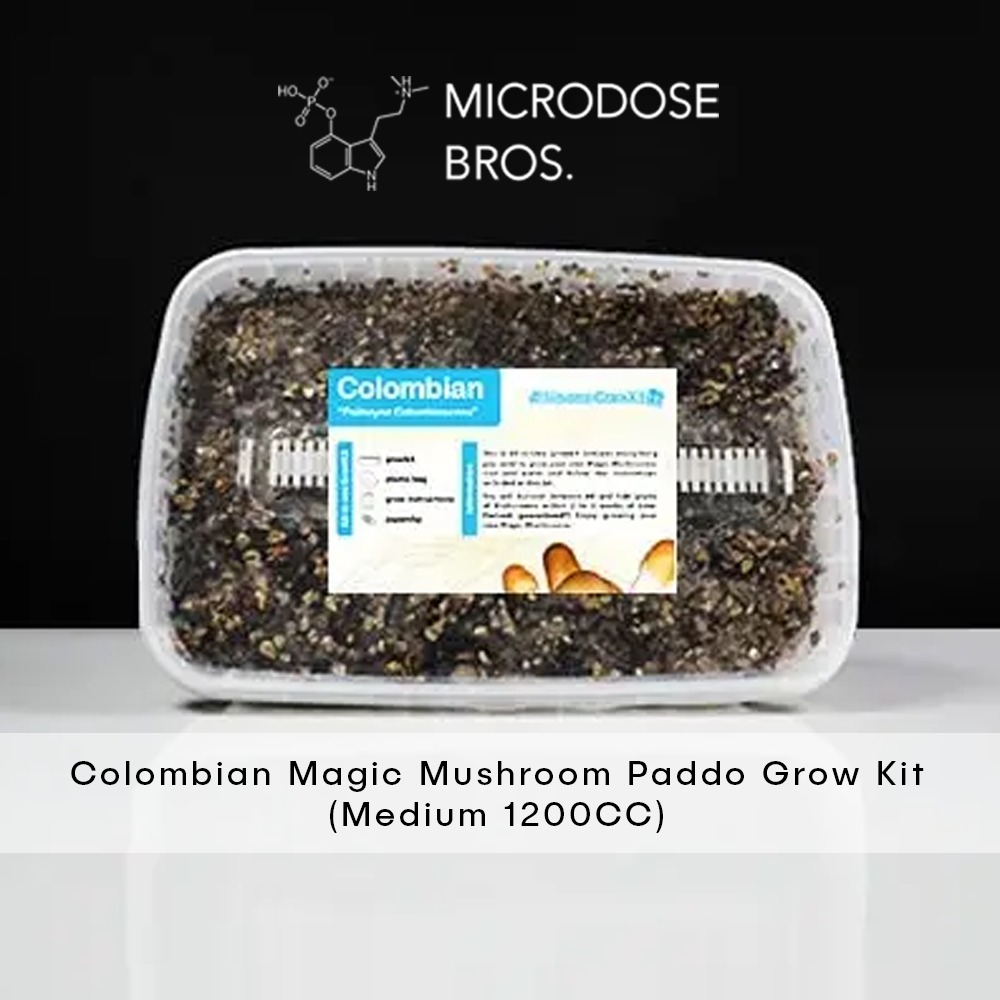 Colombian Magic Mushroom Paddo Grow Kit-4