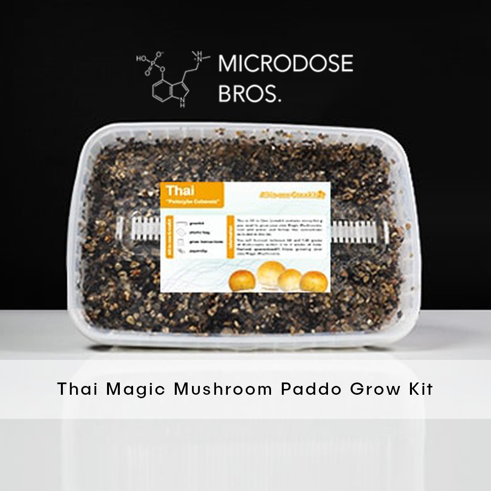 Thai Magic Mushroom Paddo Grow Kit-1