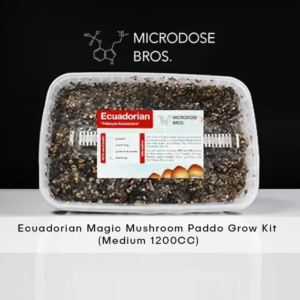 Ecuadorian Magic Mushroom Paddo Grow Kit