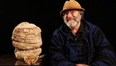 The Paul Stamets Stack: Microdosing – Your Ultimate Guide