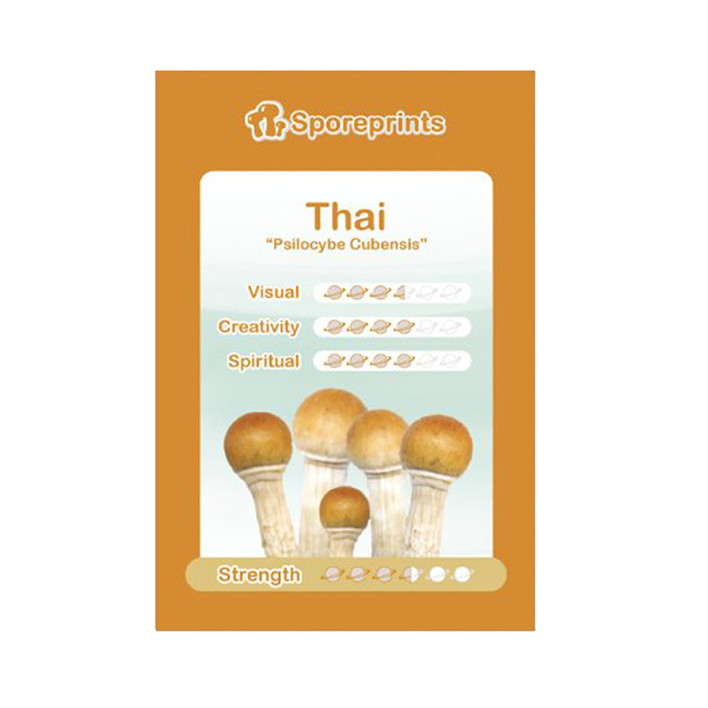 Thai-Sporeprint-1