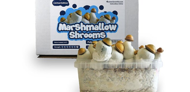 New Marshmallow Shrooms Growkit: The Ultimate Magic Mushroom Cultivation Guide