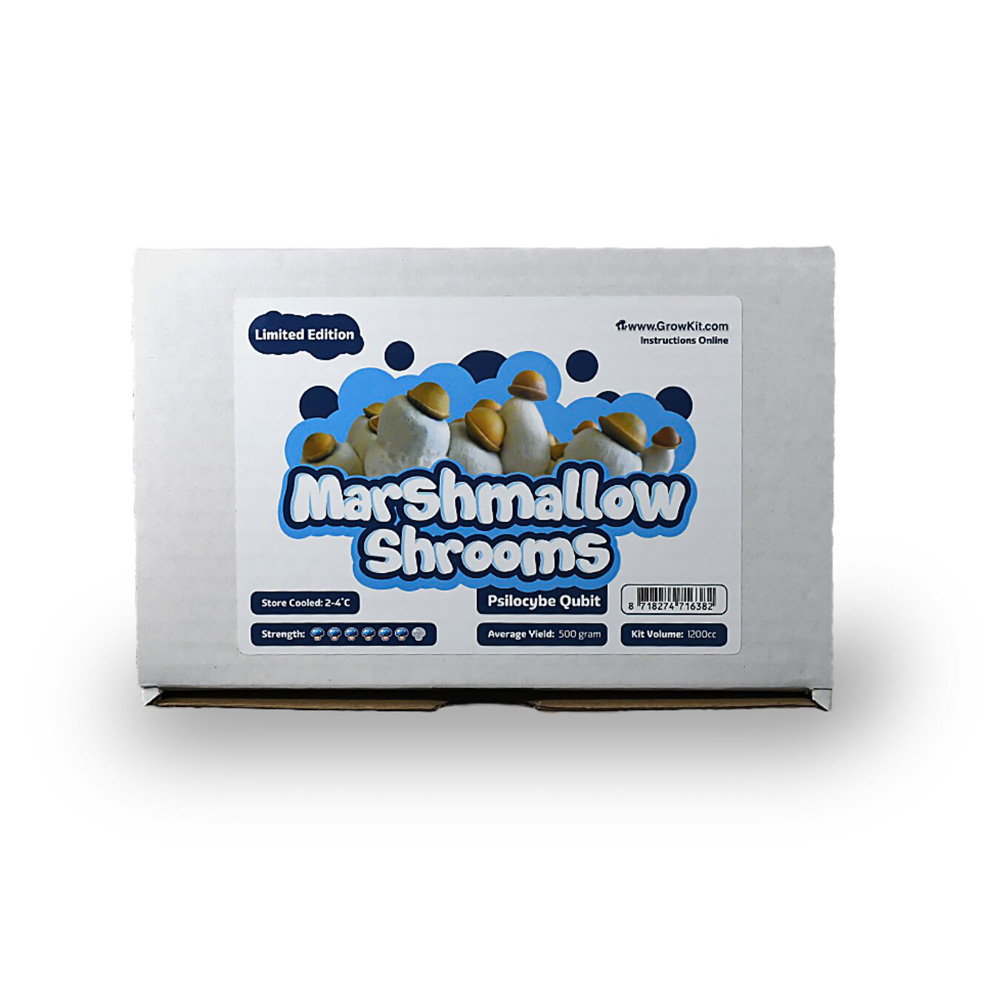 Marshmallow Shrooms Growkit