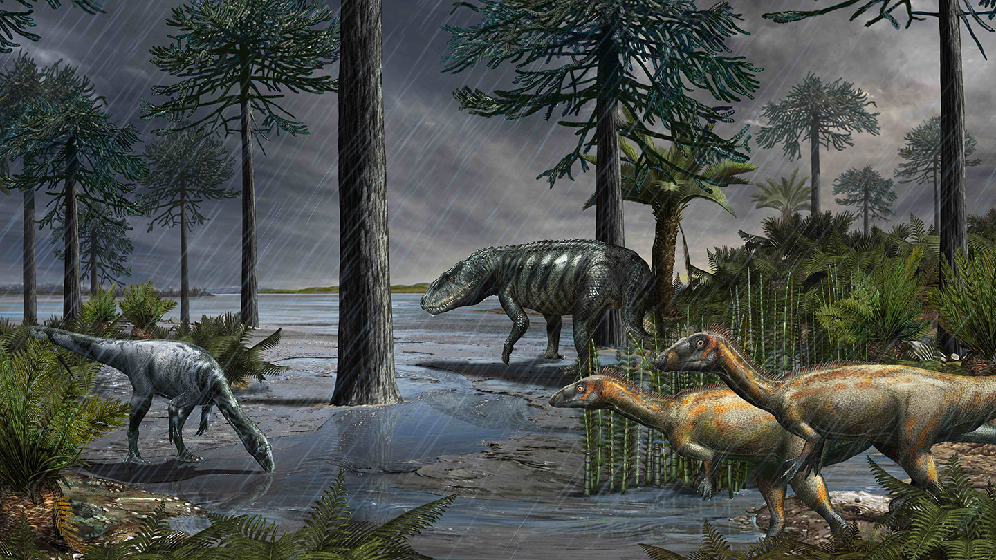 illustration of several types of dinosaurs exploring a habitat with a lake and trees amid rain