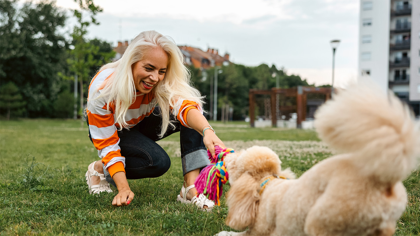 A woman with long white hair and a white and orange striped sweater is getting physical activity by playing tug of war with a fuzzy tan dog.