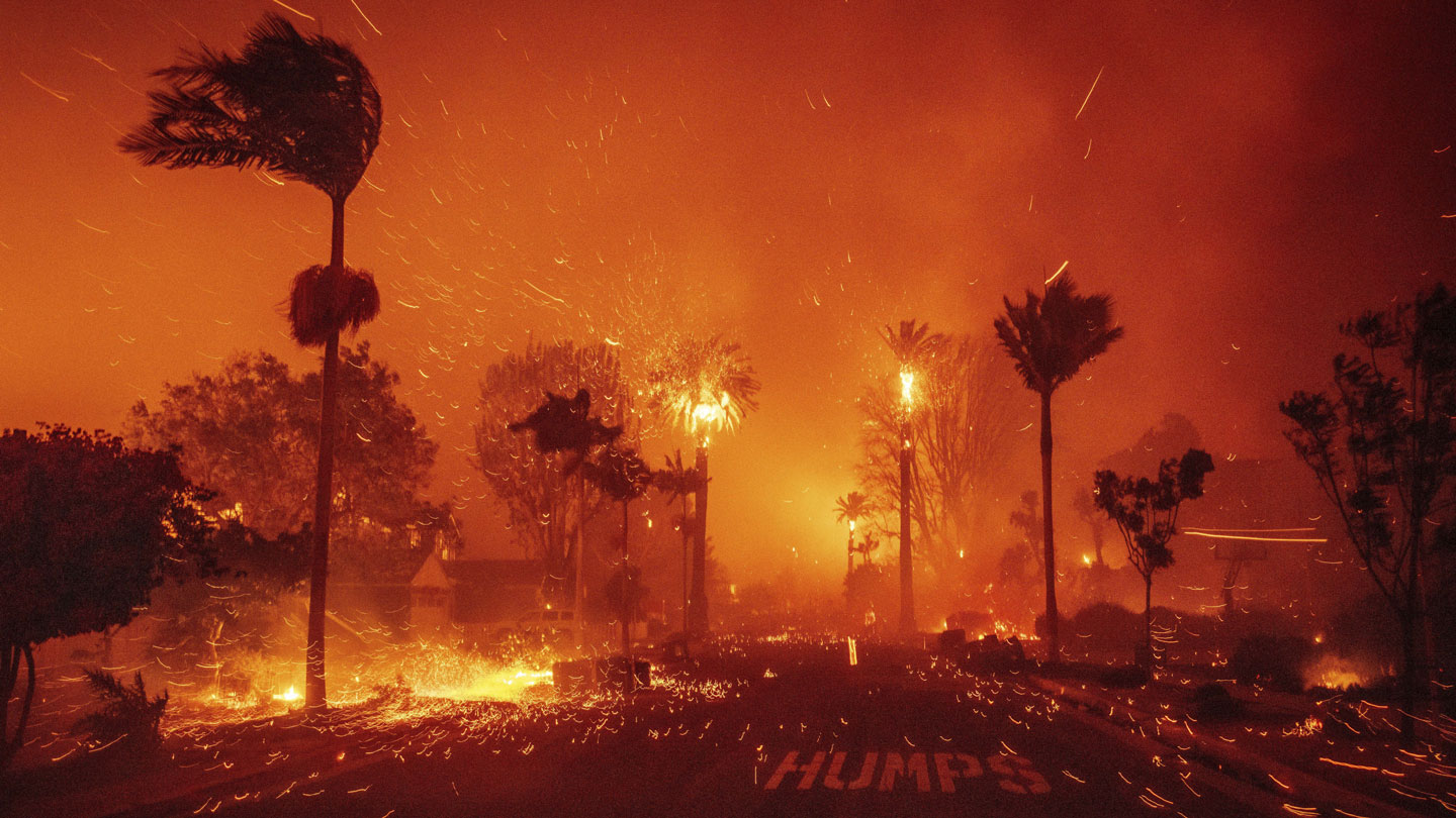 Tress and buildings along a street are on fire.