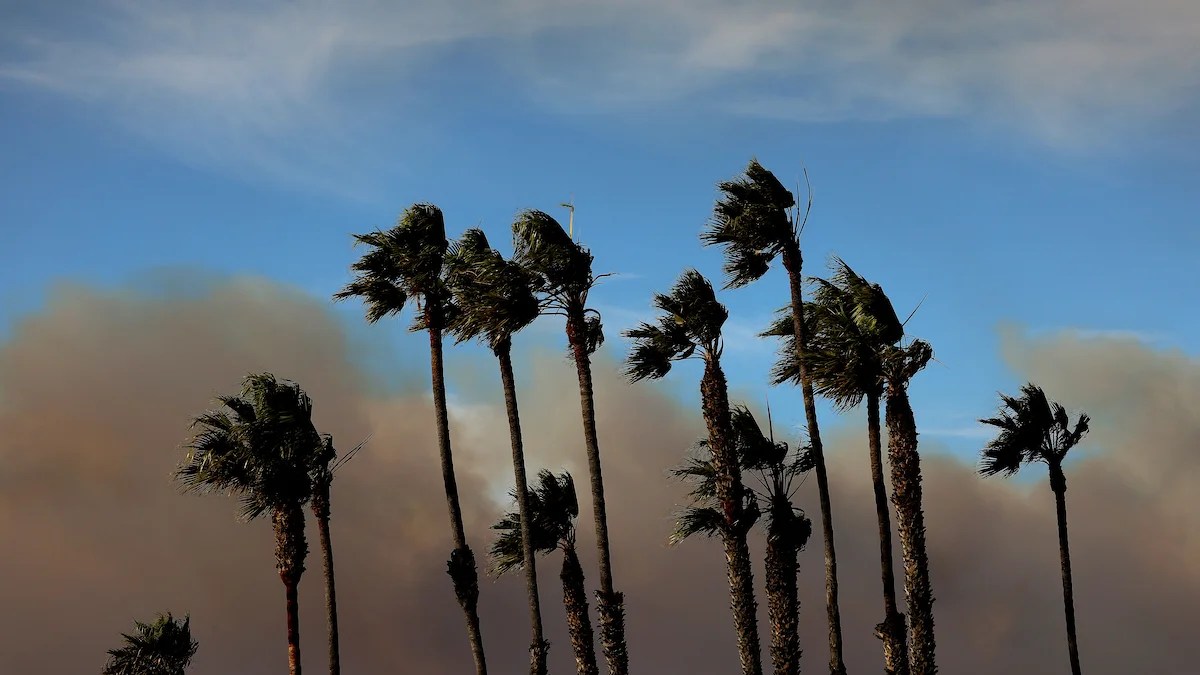 Santa Ana winds in Santa Monica