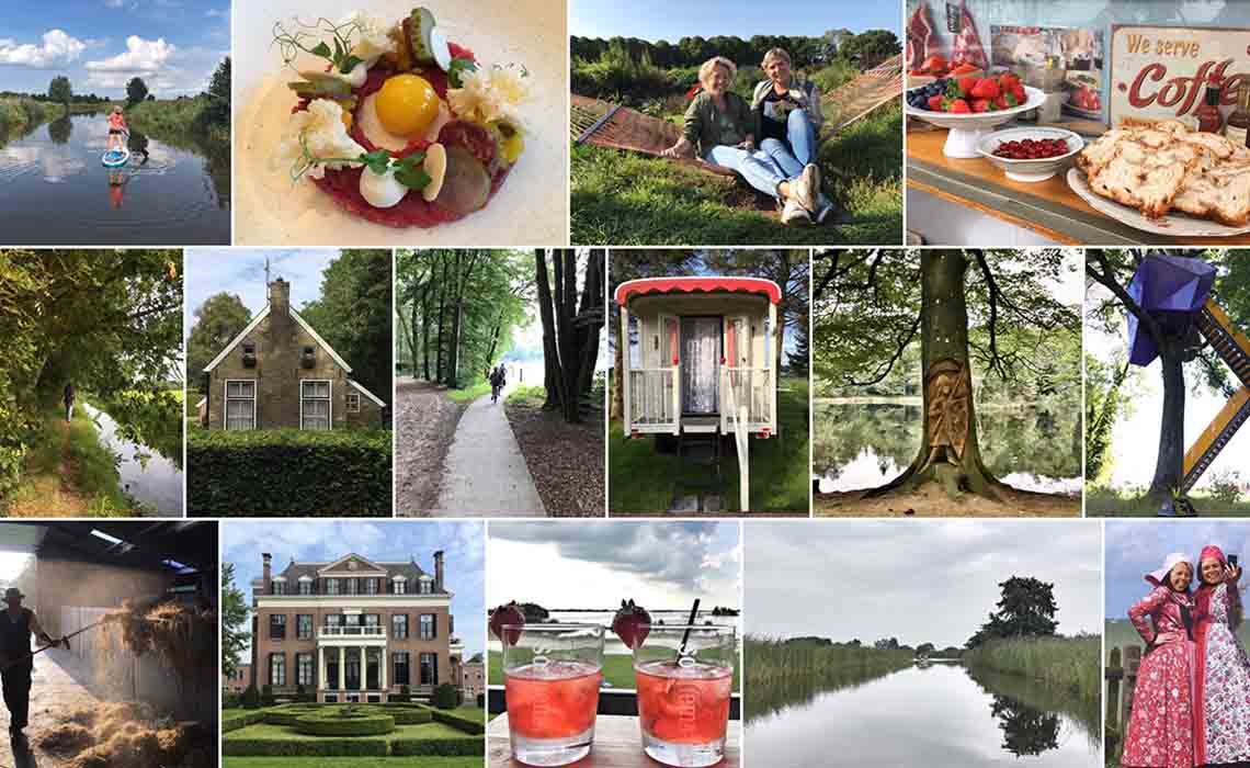 Friese wouden reistips Friesland - Travelvibe