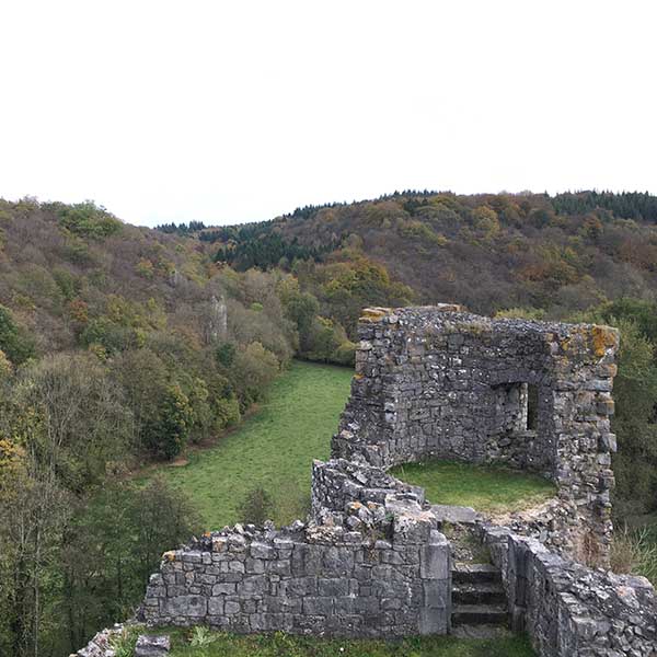 Ruines des Montaigle - Travelvibe