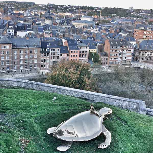 Schildpad bij Citadel Namen - Travelvibe