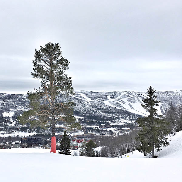 natural beauty op de pistes van Noorwegen