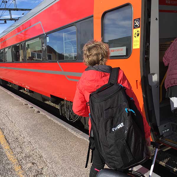 Met de trein van Oslo naar Geilo