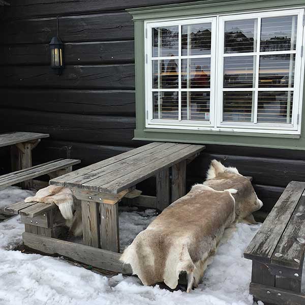 Rendierhuid op het pisteterras