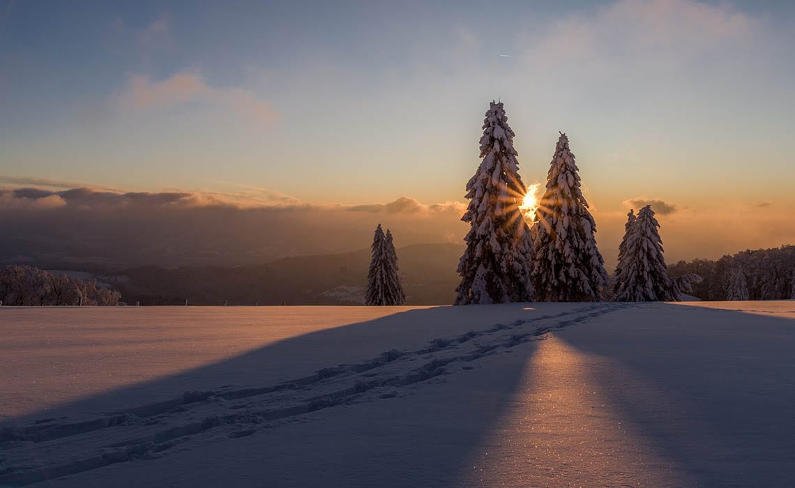 zo maak je de mooiste sneeuwfoto's - Travelvibe