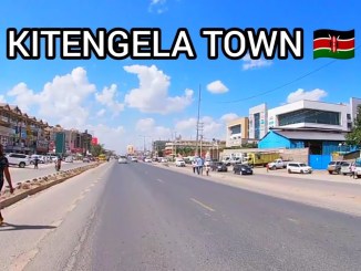 Best Small Business Ideas To Start In Kitengela Town - Namanga Road, Kajiado County Kenya. Business ideas to start with small capital