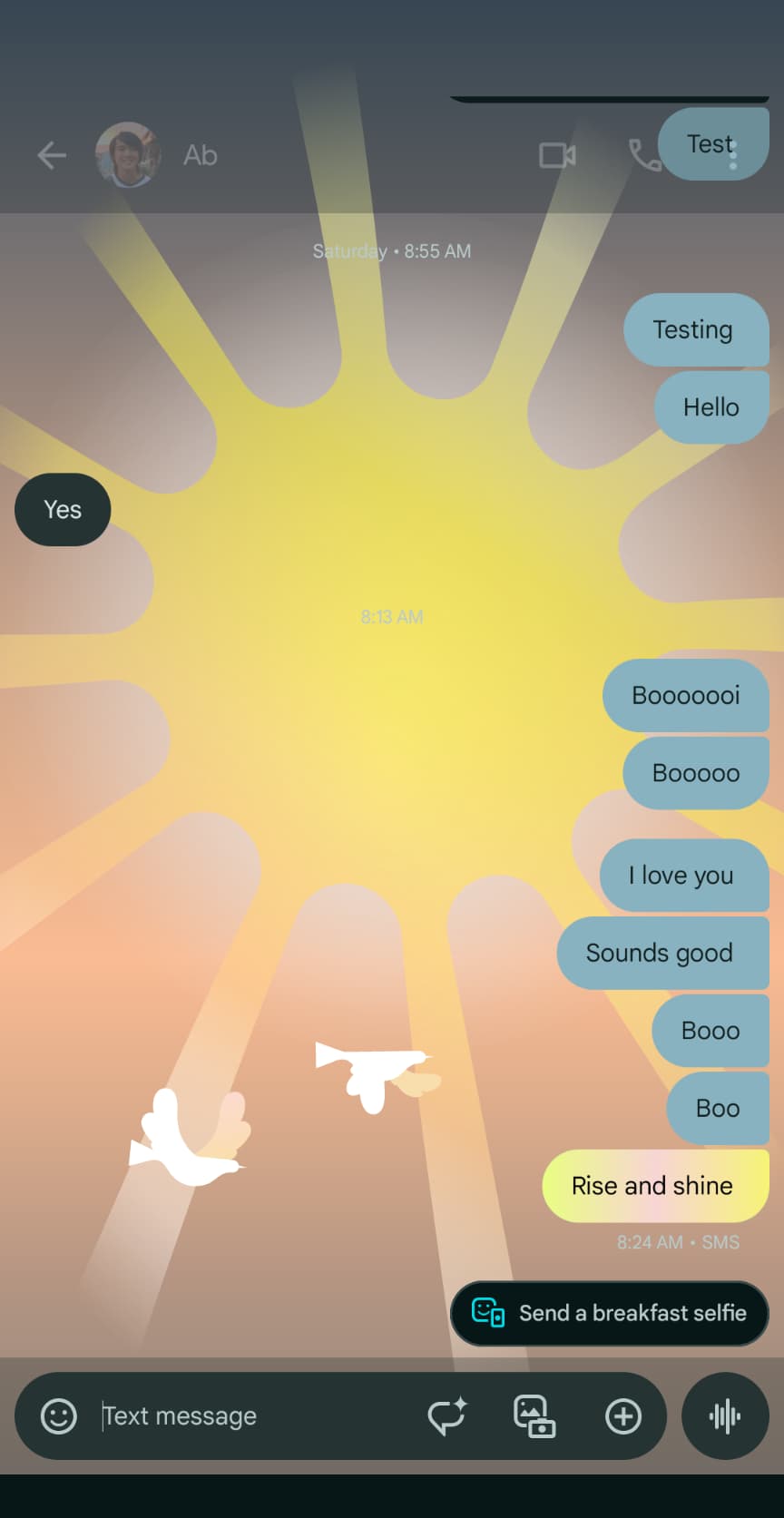 Google Messages Screen Effects