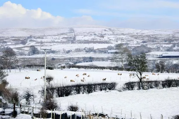 Snowy scene at Divis and Black Mountain