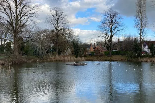 The huge duck pond in Long Itchington is the largest in Warwickshire