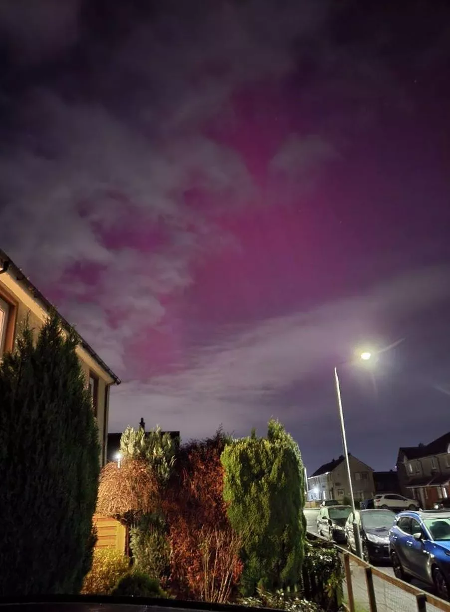 The Northern Lights pictured above a residential street in Hamilton