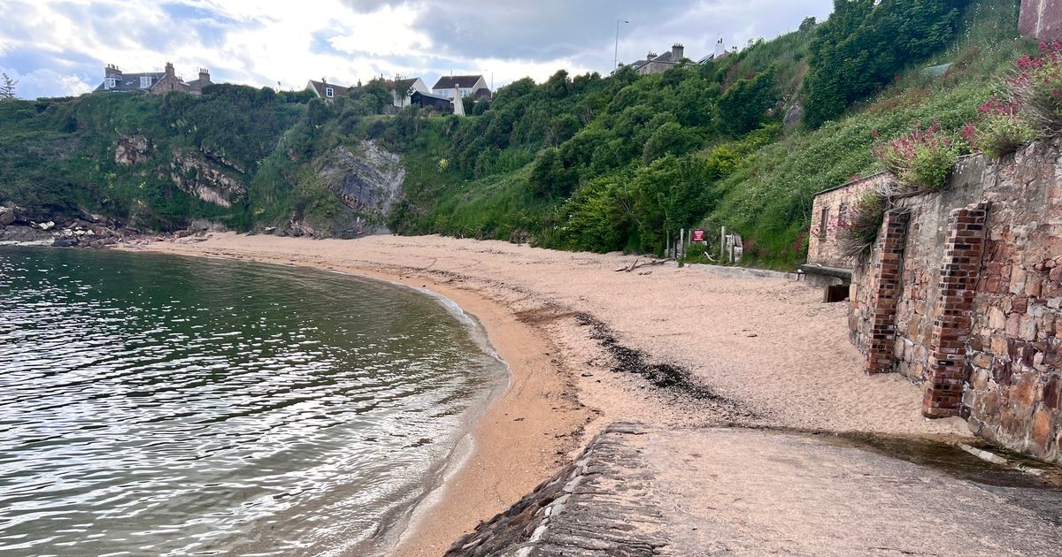 Crail Beach - Fife. Golden Sands and seaweed.