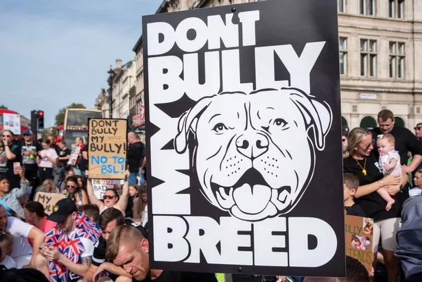 XL Bully protest