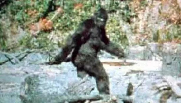 bigfoot