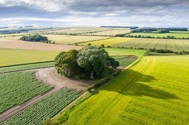 The Willy Howe burial mound near Burton Fleming, East Riding of Yorkshire.