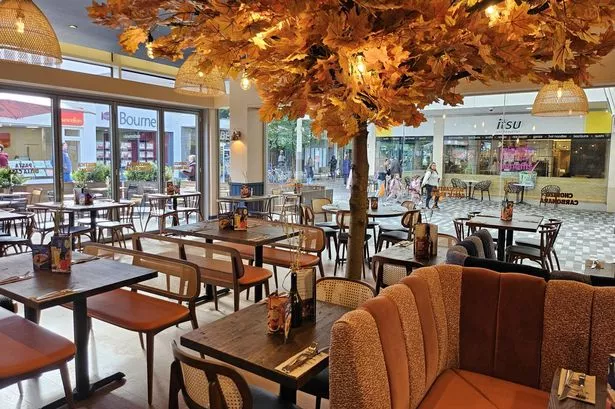 Inside the Zizzi's big. autumn tree inside