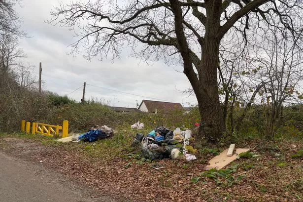 The fly tipping on Lyne Road