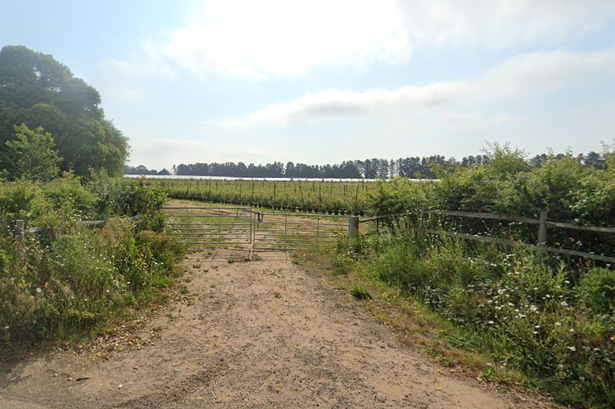 View of agriculture land proposed for two mini football pitches, from Eashing Lane, Milford.