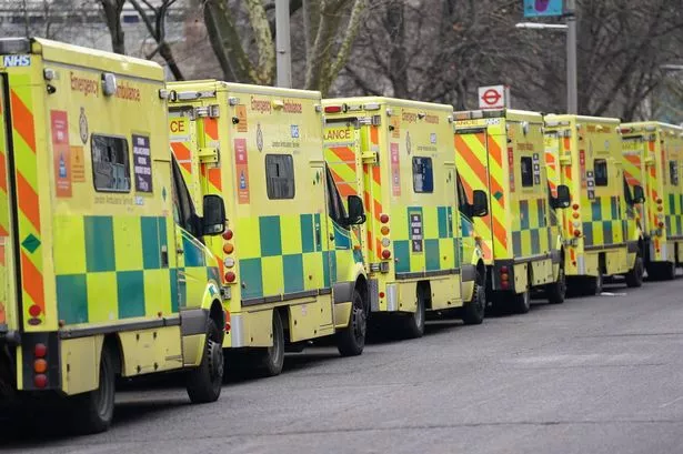 Line of ambulances