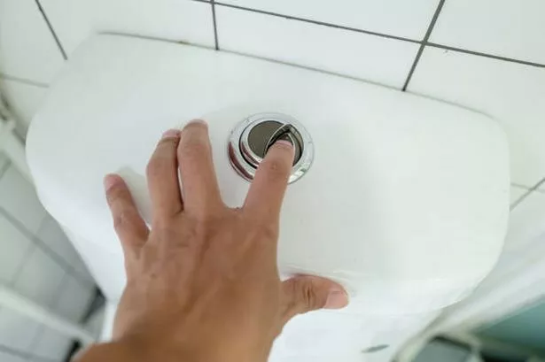 Human hand flushing toilet