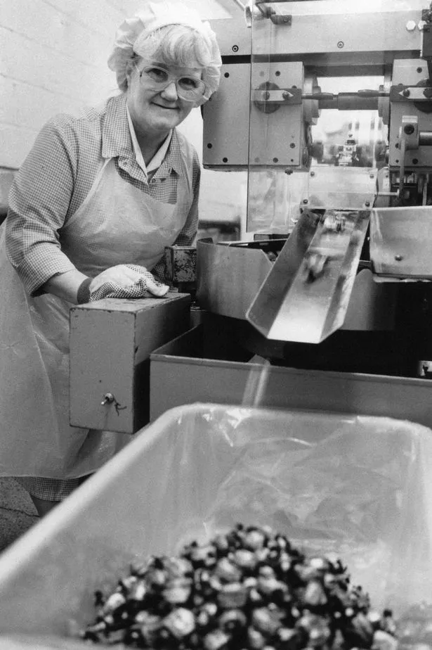 Elizabeth Taylor watches eclairs pass through the wrapper., Taveners Sweets, October 28, 1991