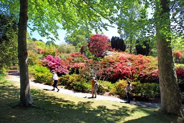 Bodnant Garden is nearby