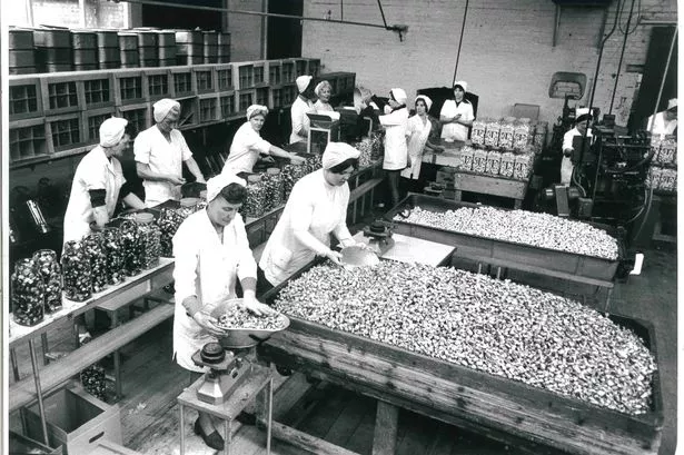 Museum of Liverpool will take a trip back to a sweeter time this November, as a new display of photographs looks at the history of Taveners  from its early beginnings to its years as one of the UKs most successful confectionery makers. Pictured, Staff working in Taveners jar packing room in 1976