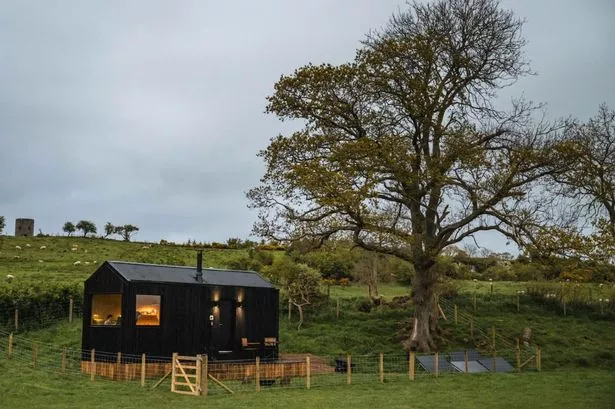 Castor cabin in the countryside