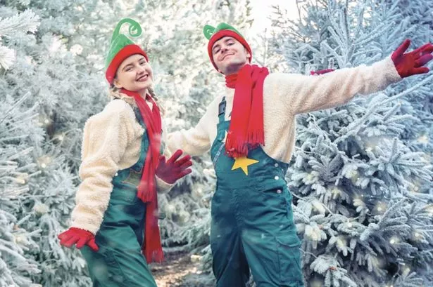 Elves during Chessington Winter Tail event