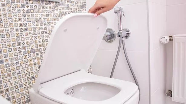 A woman's hand holds the toilet lid in the toilet. The concept of cleanliness and hygiene in the bathroom, pleasant smell of freshness, disinfection