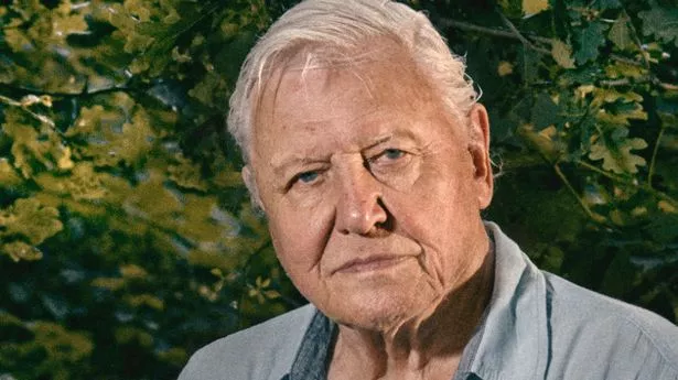 David Attenborough's longtime collaborator believes the TV icon will never retire