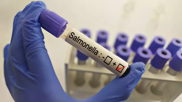 Diagnostician holding in hand a positive Salmonella bacteria test,