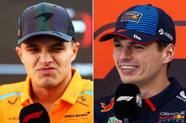 Max Verstappen beat Lando Norris to the 2024 F1 drivers' title