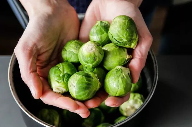 Brussels sprout, hands, close up