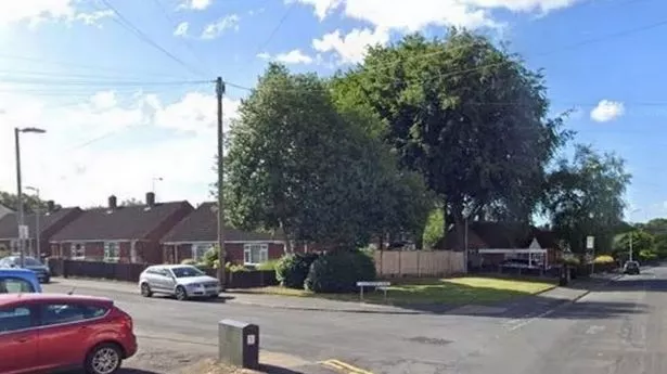 Google street view of a street with cars and two trees