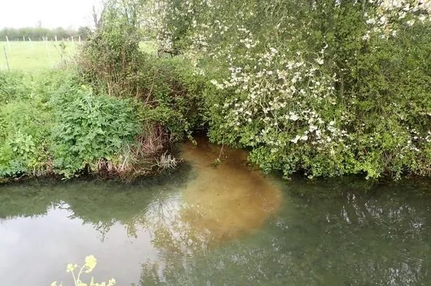 River pollution which killed 345 fish 