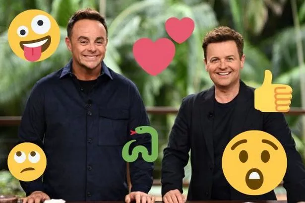 Ant and Dec on I'm A Celeb